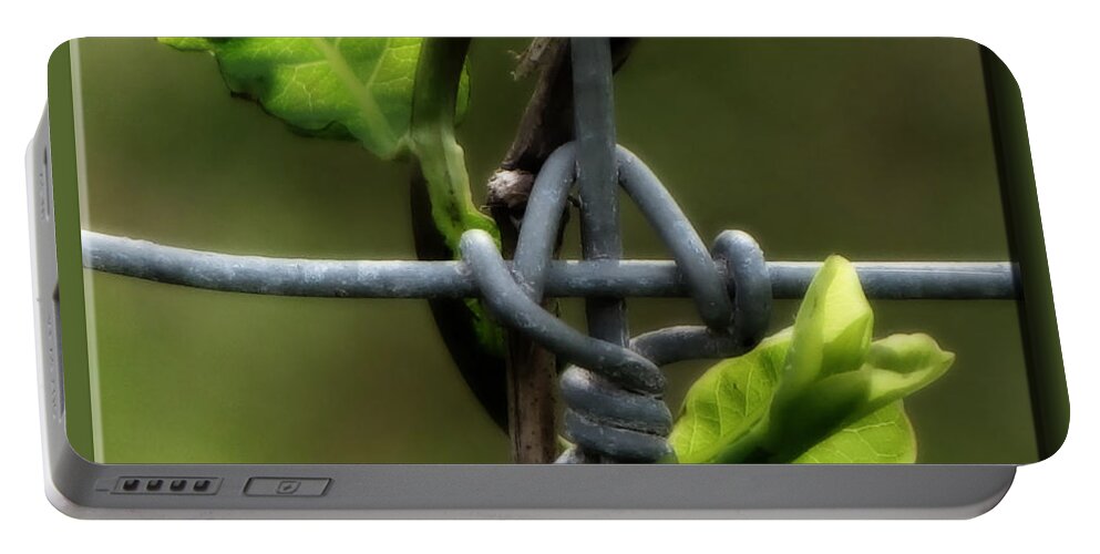 Fence Portable Battery Charger featuring the photograph Entwined by Lucy VanSwearingen