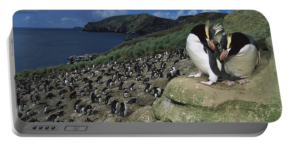 Feb0514 Portable Battery Charger featuring the photograph Erect-crested Penguins Antipodes Island by Tui De Roy