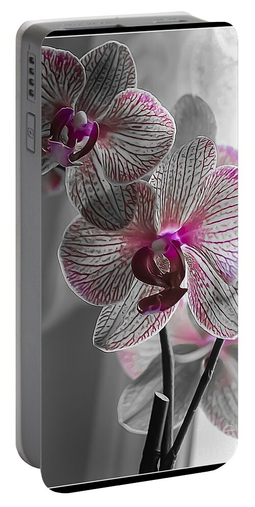 Spring Portable Battery Charger featuring the photograph Ethereal Orchid by Bianca Nadeau