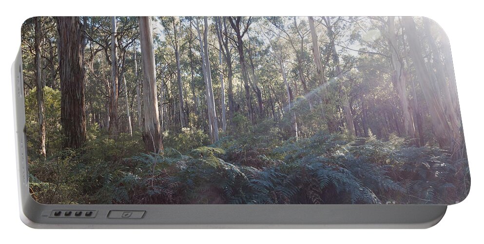Landscape Portable Battery Charger featuring the photograph Eucalyptus forest in Victoria Australia by Matteo Colombo