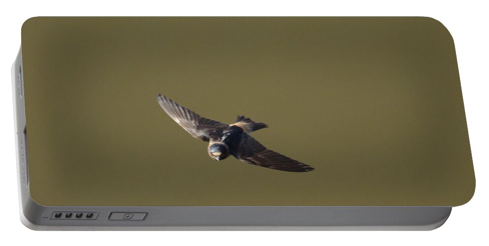 Birds Portable Battery Charger featuring the photograph Even More Swallows - 16 by Christopher Plummer