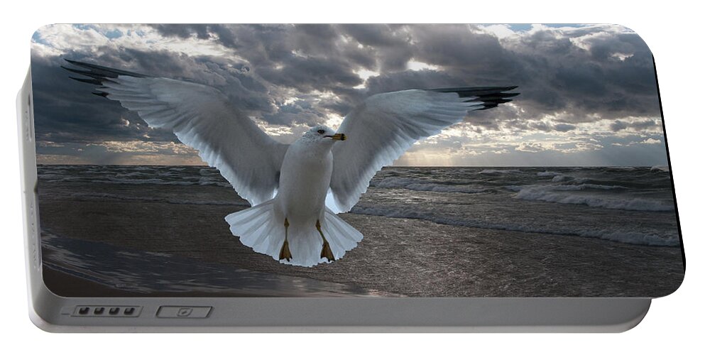 Bird Portable Battery Charger featuring the photograph Evening Landing by Ann Horn
