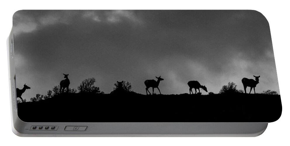 Big Horn Sheep Portable Battery Charger featuring the photograph Evening Ridge by Kevin Dietrich