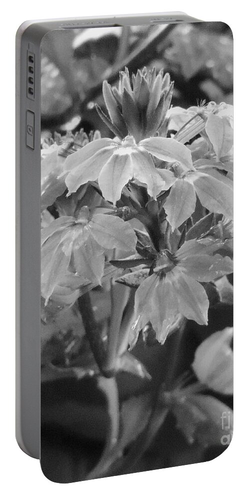 Flower Portable Battery Charger featuring the photograph Everlasting Love 005 BW by Robert ONeil