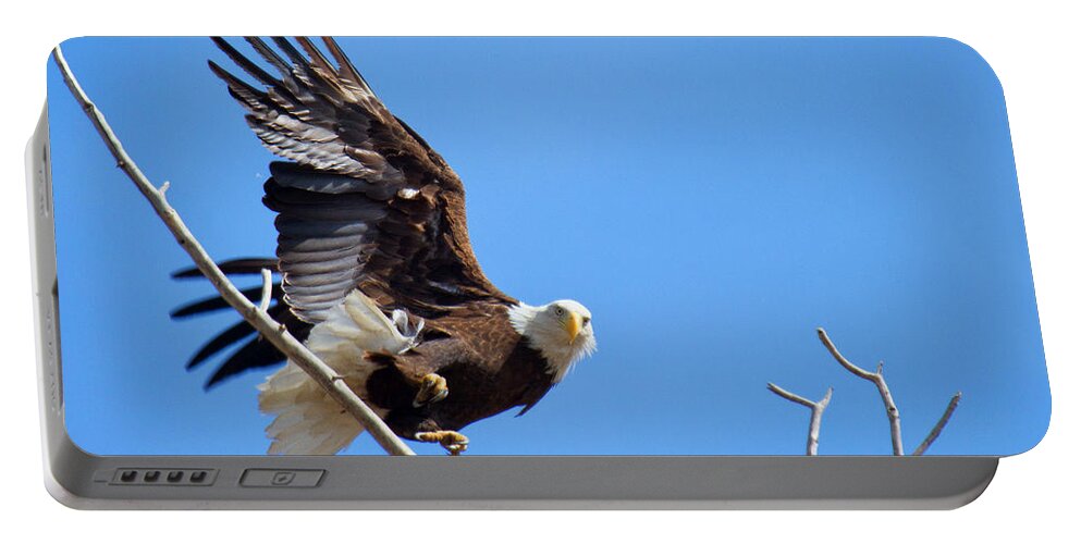 Soaring Portable Battery Charger featuring the photograph Eye of the Eagle by Jim Garrison