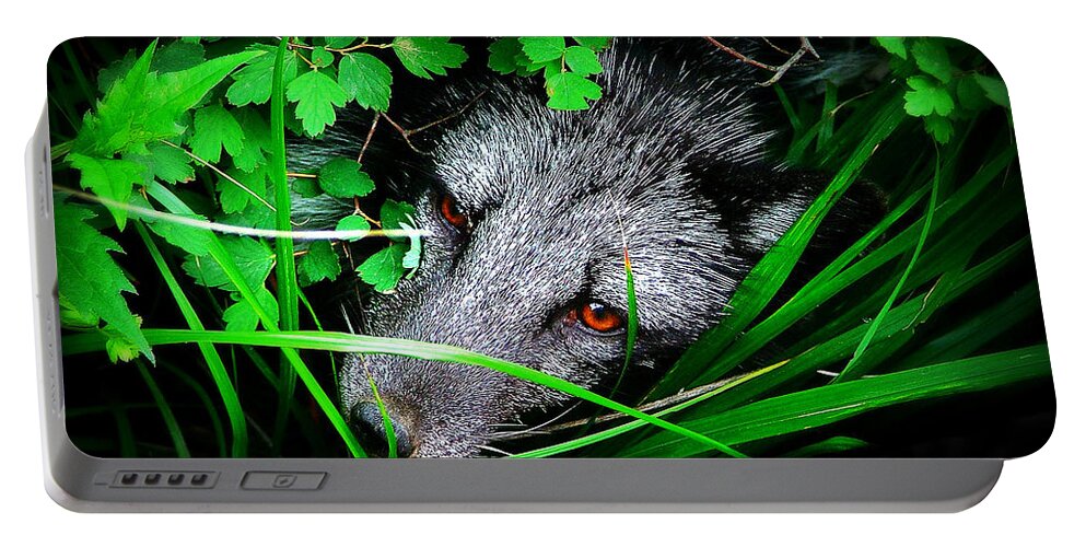Eyes Portable Battery Charger featuring the photograph Eyes in the Bushes by Zinvolle Art