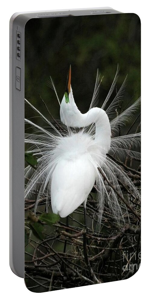 Great White Egret Portable Battery Charger featuring the photograph Fabulous Feathers by Sabrina L Ryan