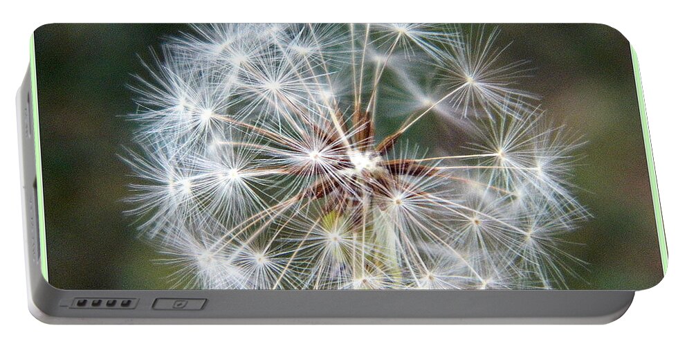 Dandelion Portable Battery Charger featuring the photograph Fairy Umbrellas by Kathy Barney