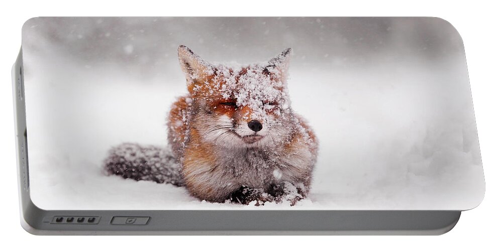 Fox Portable Battery Charger featuring the photograph Fairytale Fox II by Roeselien Raimond