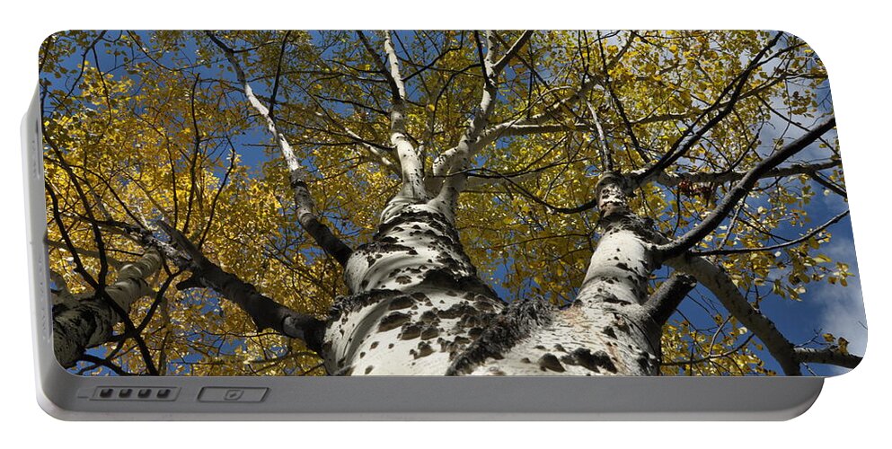 Gold Portable Battery Charger featuring the photograph Fall Aspen by Frank Madia