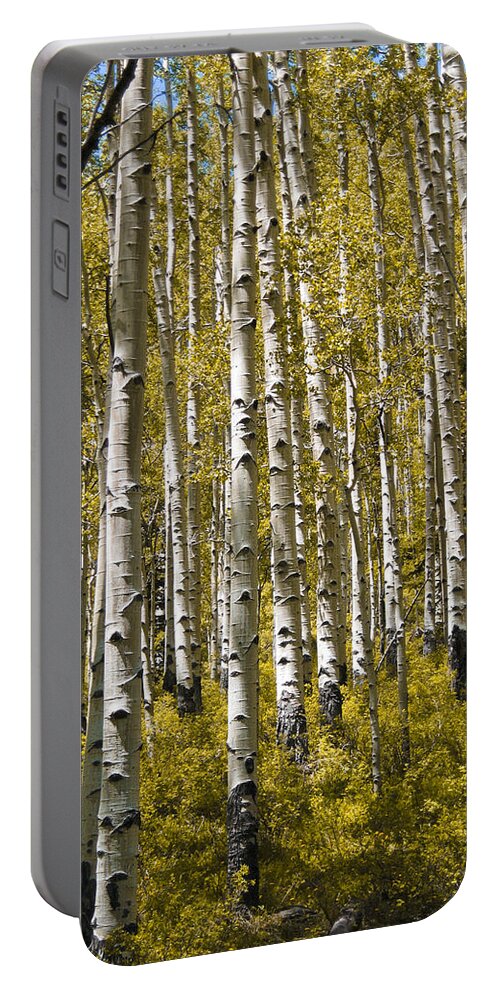 3scape Photos Portable Battery Charger featuring the photograph Fall Aspens by Adam Romanowicz