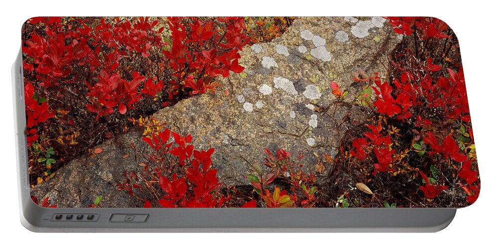 Maine Portable Battery Charger featuring the photograph Fall Blueberries and Moss-H by Tom Daniel
