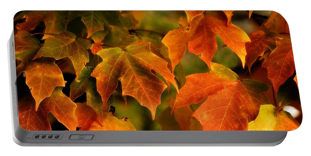 Landscape Portable Battery Charger featuring the photograph Fall Color by Melissa Petrey