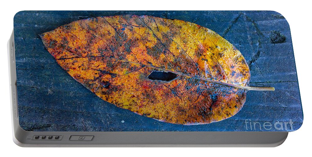 Unicoi Portable Battery Charger featuring the photograph Fall Colors at Unicoi by Bernd Laeschke