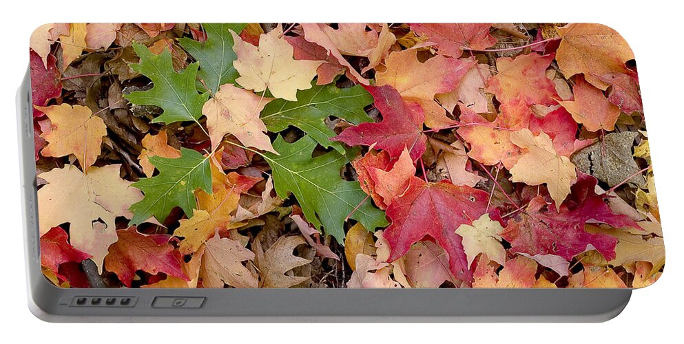 Arboretum Portable Battery Charger featuring the photograph Fall colors by Steven Ralser