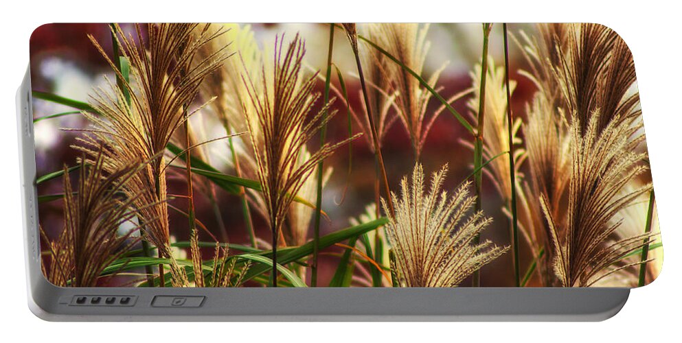 Plants Portable Battery Charger featuring the photograph Fall Fire. by Rob Dietrich