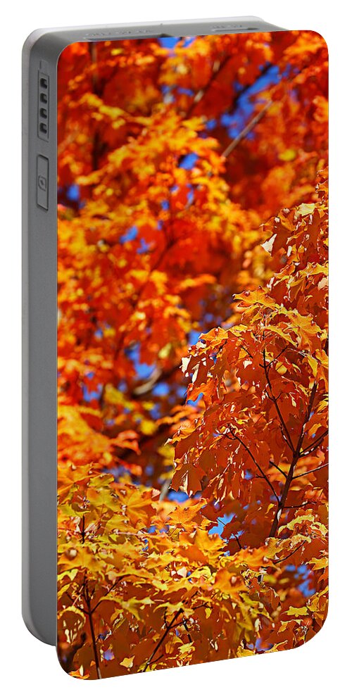 Autumn Portable Battery Charger featuring the photograph Fall Foliage Colors 17 by Metro DC Photography