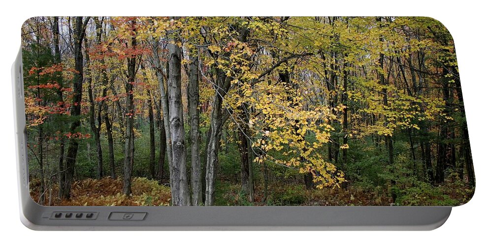 Fall Foliage Portable Battery Charger featuring the photograph Fall foliage by Jim Gillen