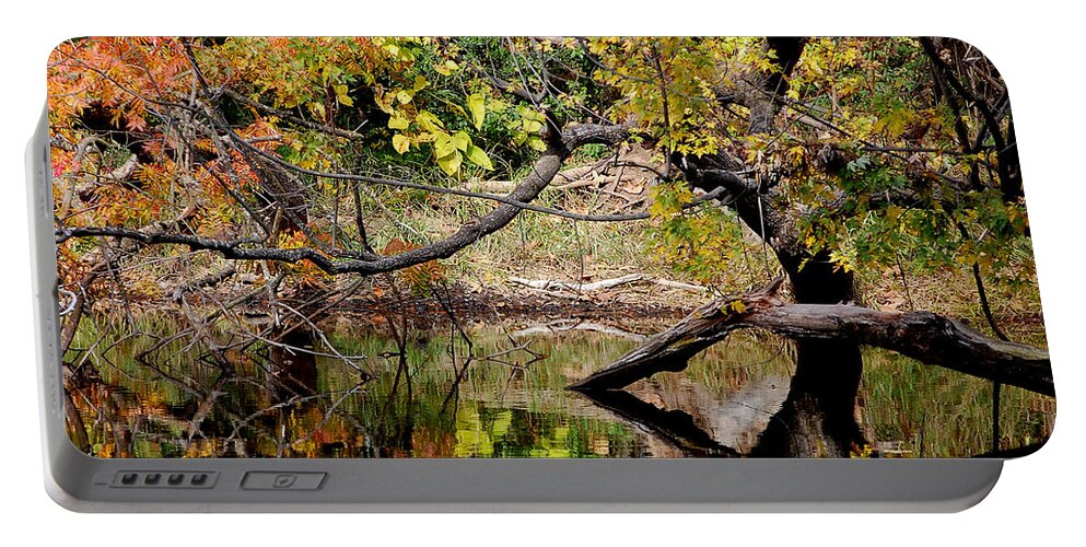 Fall Leaves Colors Branches Water One Mile Bidwell Park Chico Ca Portable Battery Charger featuring the photograph Fall From the Water by Holly Blunkall