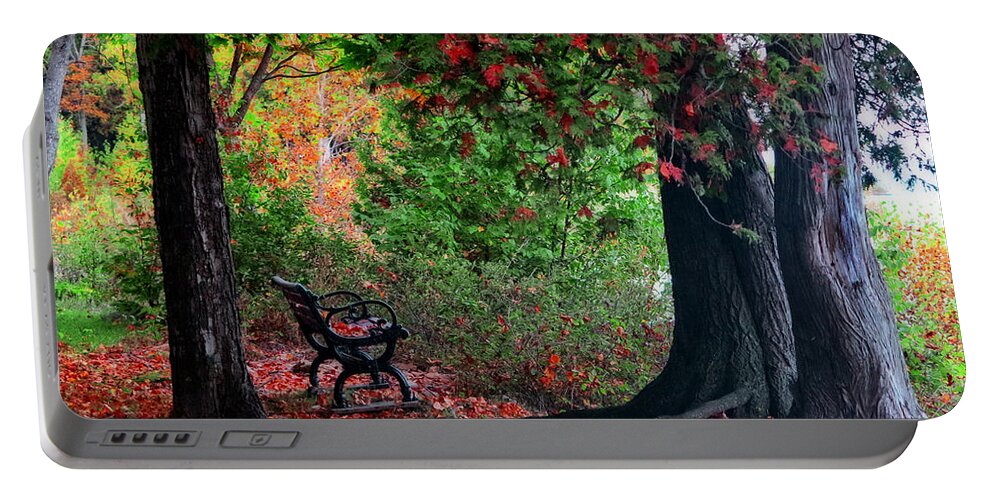 Autumn Portable Battery Charger featuring the photograph Fall In Henes Park by Ms Judi