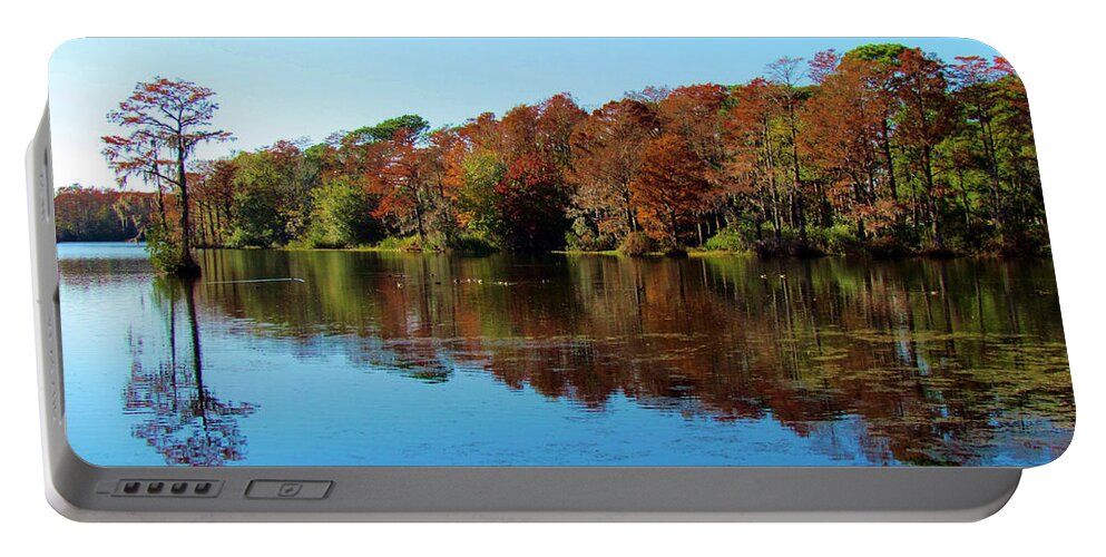 Tree Portable Battery Charger featuring the photograph Fall In The Air by Cynthia Guinn