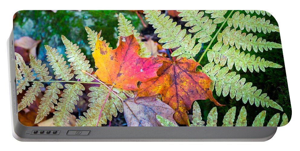 Fall Portable Battery Charger featuring the photograph Fall In the Ferns by Bill Pevlor