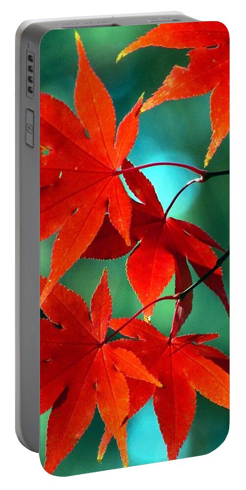 Fall Portable Battery Charger featuring the photograph Fall Leaves in All Their Glory by Carol Montoya