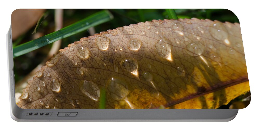 Grass Portable Battery Charger featuring the photograph Fall Morning Leaf and Dew by Jim Shackett