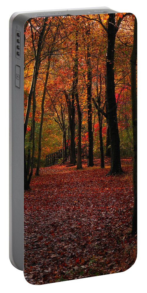 Manasquan Reservoir Portable Battery Charger featuring the photograph Fall Path by Raymond Salani III