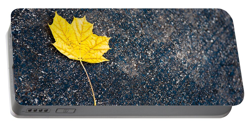 Fall Portable Battery Charger featuring the photograph Fallen by Sebastian Musial