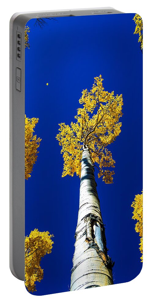 Falling Leaf Portable Battery Charger featuring the photograph Falling Leaf by Chad Dutson