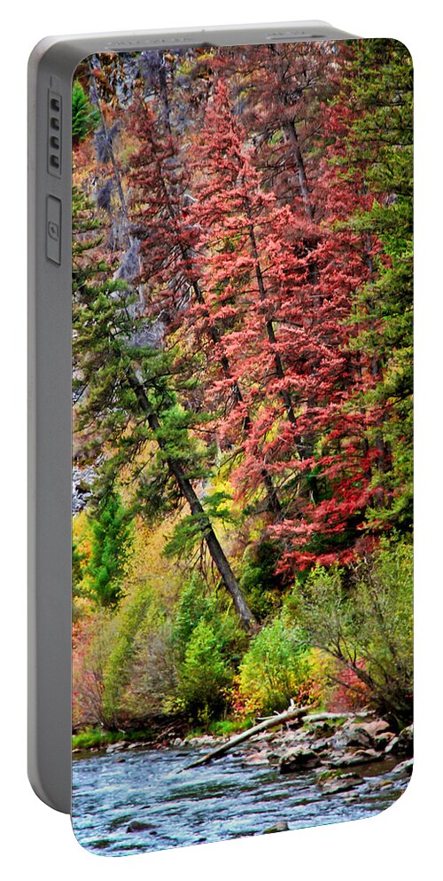 Trees Portable Battery Charger featuring the photograph Falling Trees II by Athena Mckinzie