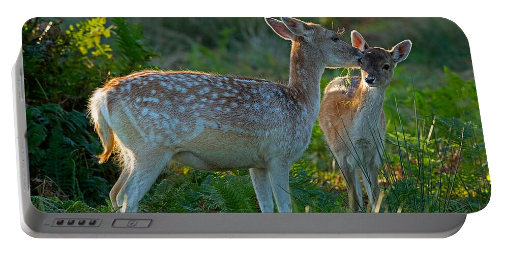 Fallow Portable Battery Charger featuring the photograph Fallow deer doe with fawn by Louise Heusinkveld