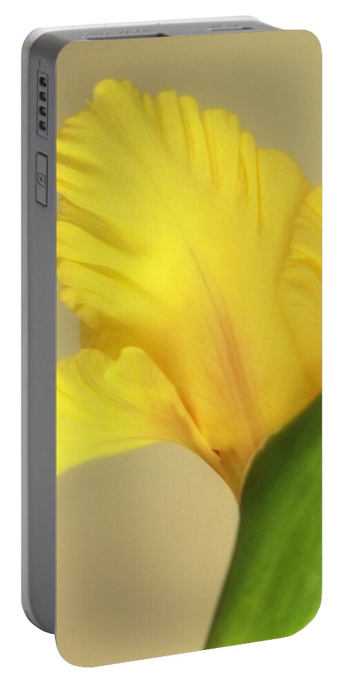 Flower Portable Battery Charger featuring the photograph Fanning Glady by Deborah Crew-Johnson