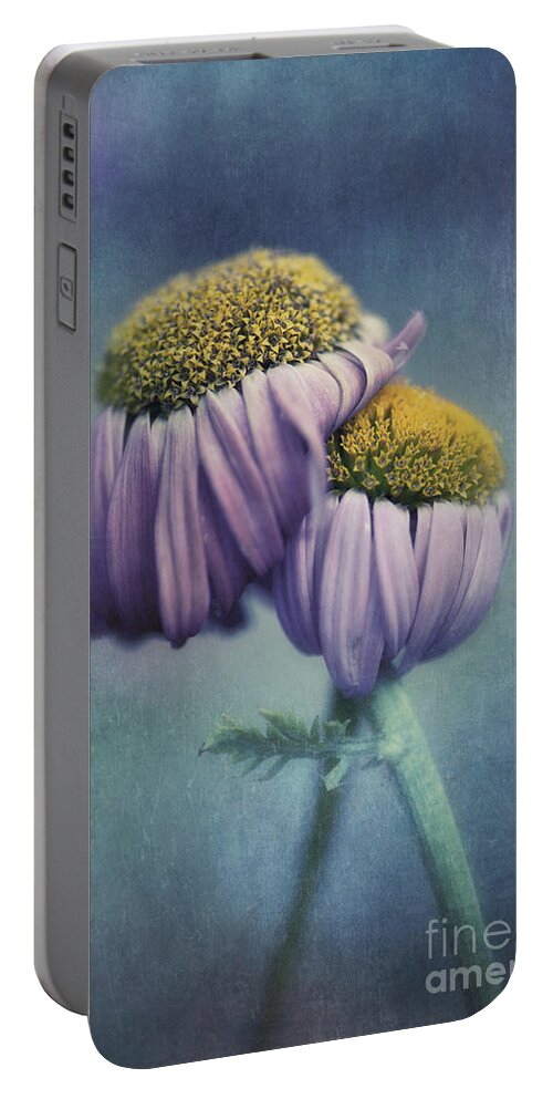 Daisy Portable Battery Charger featuring the photograph Farewell by Priska Wettstein