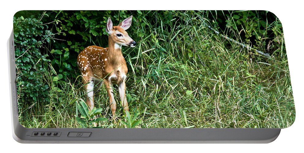 Deer Portable Battery Charger featuring the photograph Fawn by Cheryl Baxter