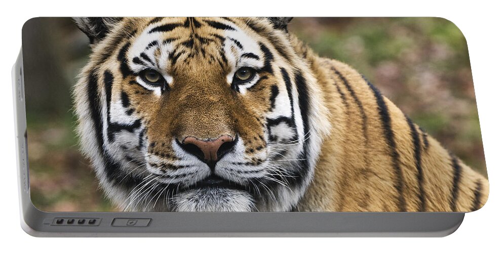 Tiger Portable Battery Charger featuring the photograph Fearless by Jean-Pierre Ducondi