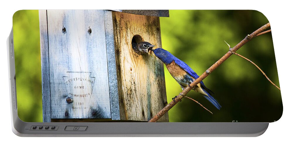 Bluebirds Portable Battery Charger featuring the photograph Box Lunch by Ronald Lutz