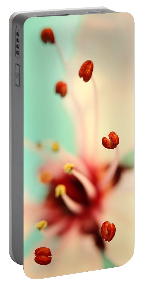 Blossom Portable Battery Charger featuring the photograph Feeling Spring by Sharon Johnstone