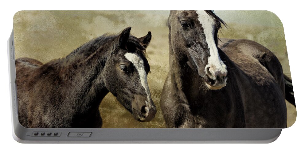 Pryor Mustangs Portable Battery Charger featuring the photograph Feldspar and Ohanzee - Pryor Mustangs by Belinda Greb