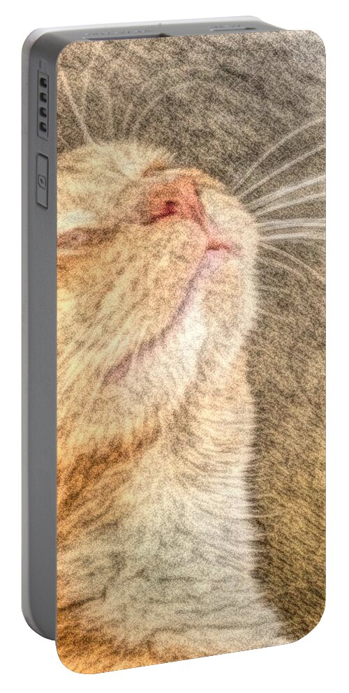 Cat Portable Battery Charger featuring the photograph Feline Bliss by Jean Goodwin Brooks