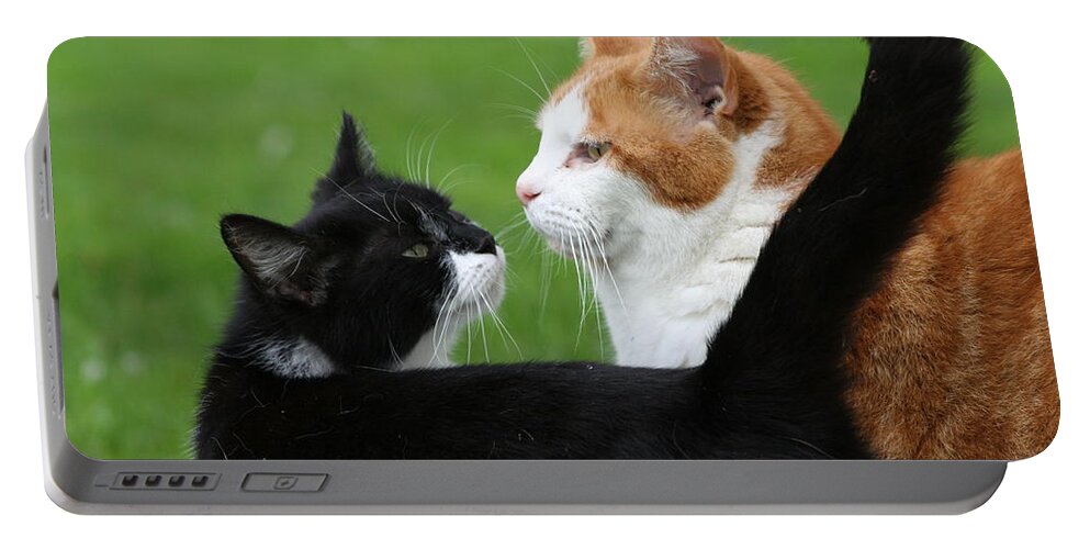 Feline Portable Battery Charger featuring the photograph Feline Friends by Valerie Collins