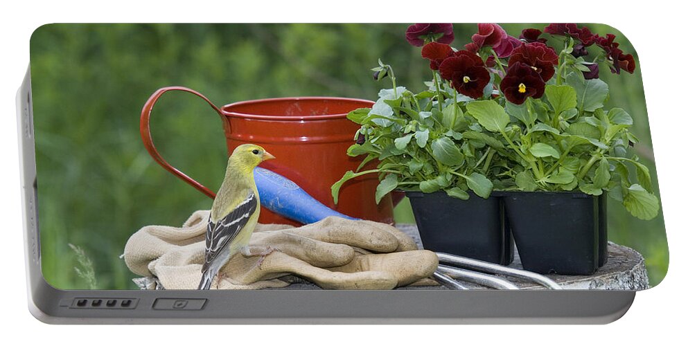 Fauna Portable Battery Charger featuring the photograph Female American Goldfinch by Linda Freshwaters Arndt