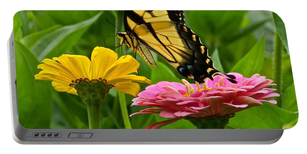 Emale Tiger Swallowtail And Zinnia Portable Battery Charger featuring the photograph Female Tiger Swallowtail Butterfly With Pink And Yellow Zinnias by Byron Varvarigos