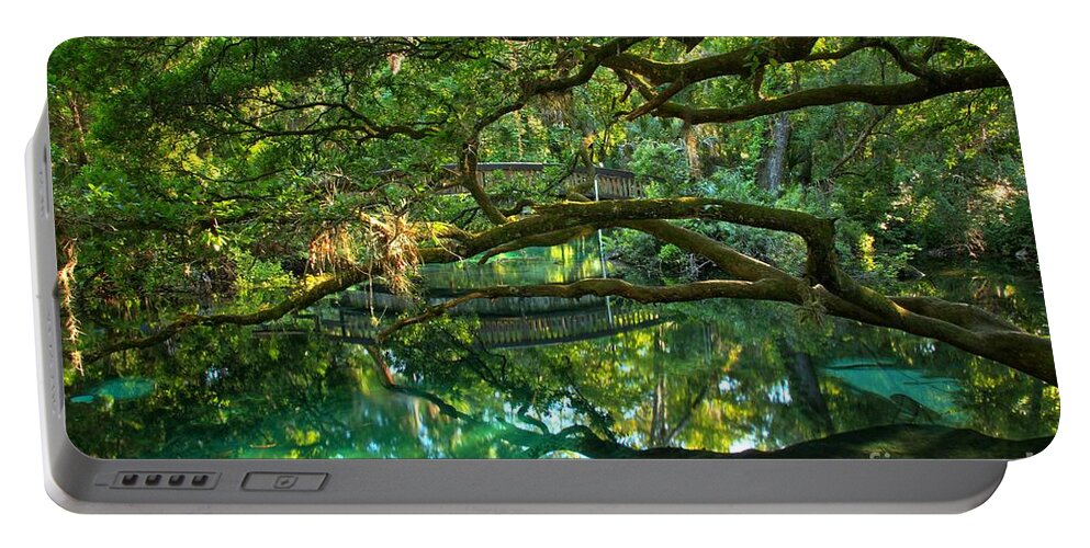 Juniper Springs Portable Battery Charger featuring the photograph Fern Hammock by Adam Jewell