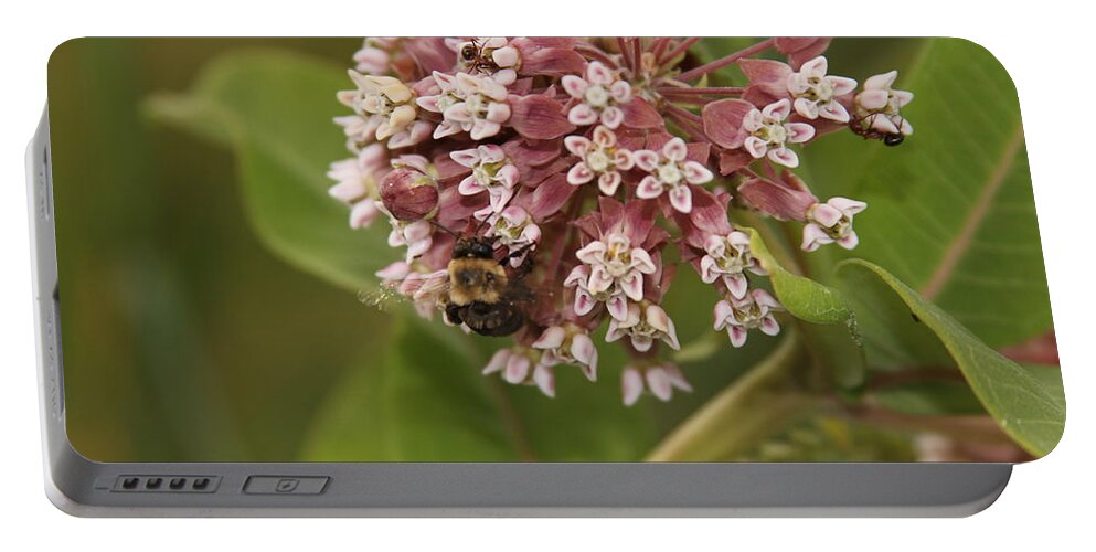 Bee Portable Battery Charger featuring the photograph Ff-19 by David Yocum