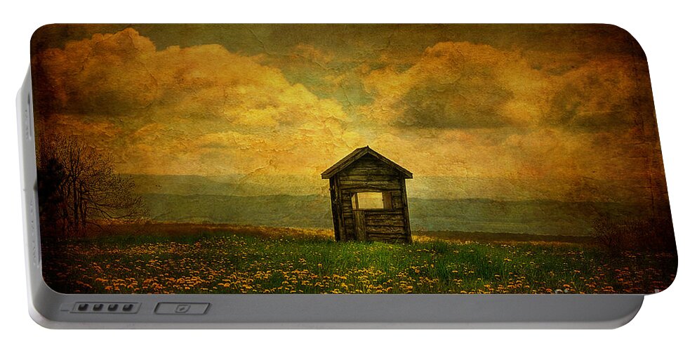 Shed Portable Battery Charger featuring the photograph Field of Dandelions by Lois Bryan