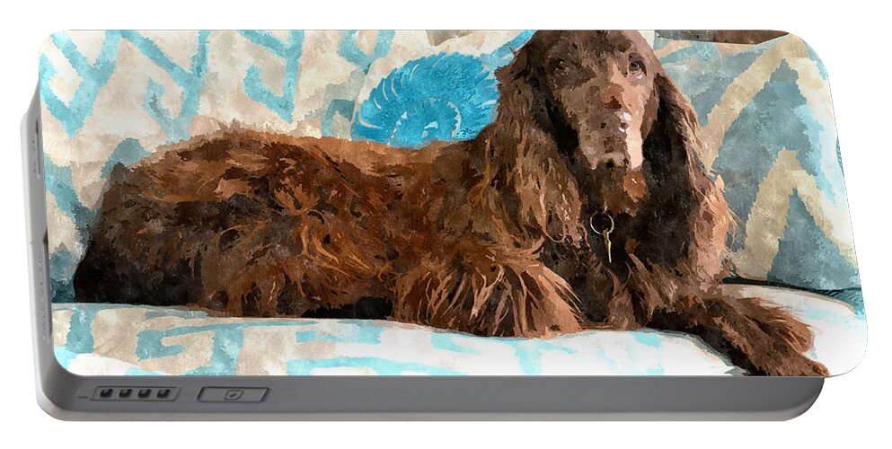 susan Molnar Portable Battery Charger featuring the photograph Field Spaniel Couch Potato by Susan Molnar