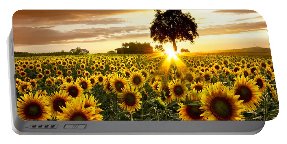 Appalachia Portable Battery Charger featuring the photograph Fields of Gold by Debra and Dave Vanderlaan