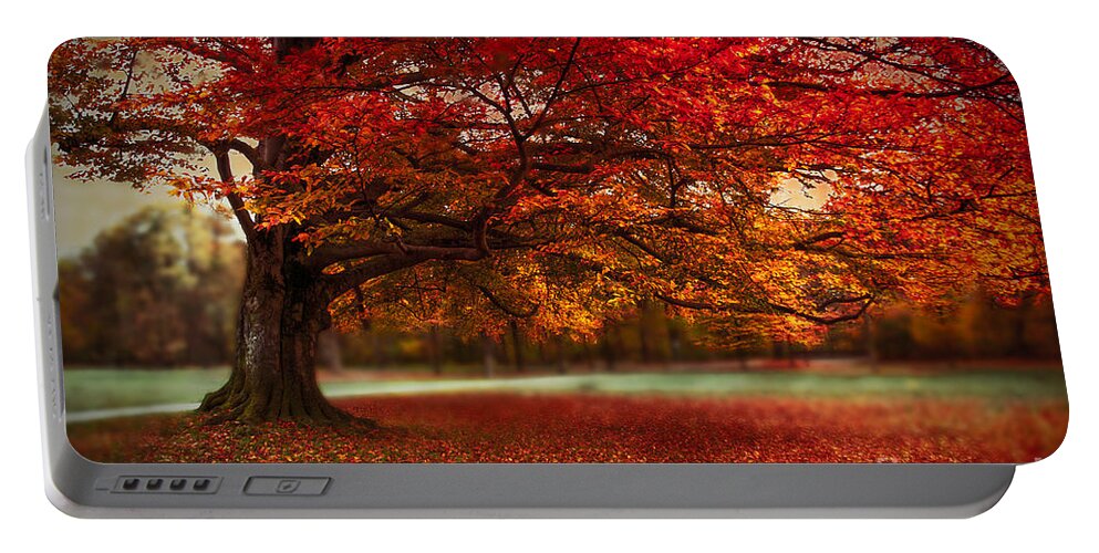 Autumn Portable Battery Charger featuring the photograph Finest Fall by Hannes Cmarits
